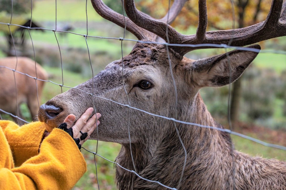 Freizeitanlage Bächlesgrund